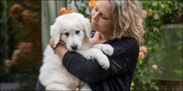 3ヶ月の犬のしつけのコツ17選!犬の視点を考えたしつけを行うべし