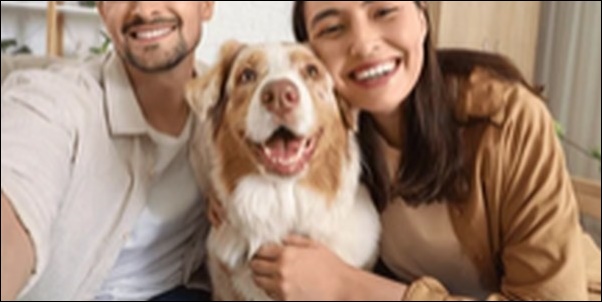 成犬のしつけのコツ17選!成犬になってからでもしつけは十分可能