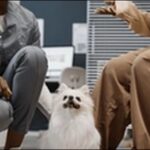 犬のしつけは他の飼い主のアドバイスが本当に役立つのか?