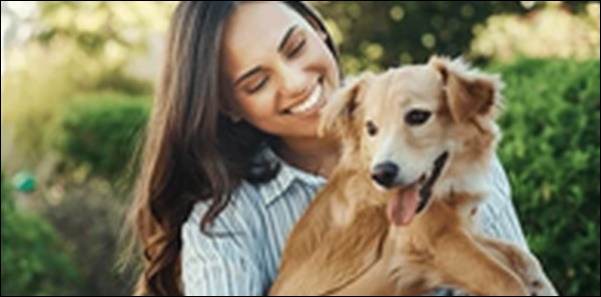 犬のしつけ基本11選!ポイントを理解しないと逆効果になります