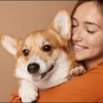 犬のしつけコマンドお勧め15選!適切な方法でコマンドを使うべし