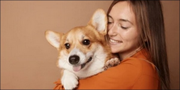 犬のしつけコマンドお勧め16選！適切な方法でコマンドを使うべし