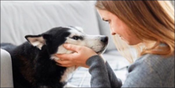 犬のしつけはアイコンタクトが基本!具体的な方法15選を解説します