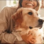 伏せ(おいで、呼び戻し)のコツ18選!犬のしつけの中でも超重要