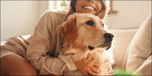 伏せ(おいで、呼び戻し)のコツ18選!犬のしつけの中でも超重要