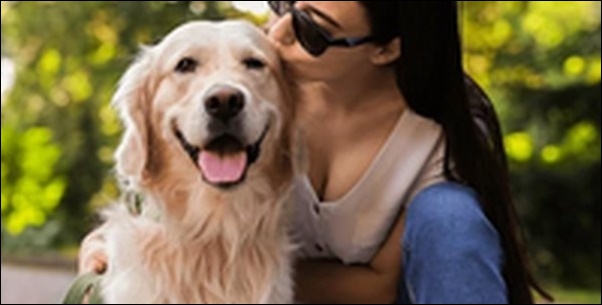 ハンドサインのコツ18選!シンプルで基本的な犬のしつけで役だつ
