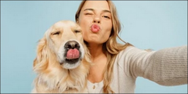 犬との上下関係のしつけは必要?信頼関係構築のコツ15選を解説