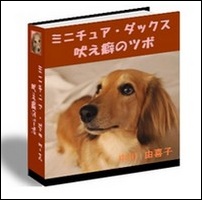 ランキング7位