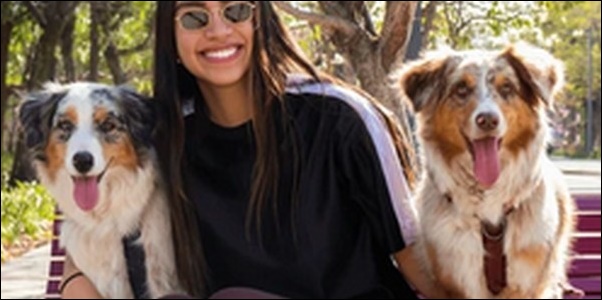 犬のしつけ本のメリットとデメリットを解説!安価で入手できます
