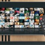 犬のしつけテレビ番組のメリットとデメリットを解説!人気番組がカギ