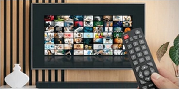 犬のしつけテレビ番組のメリットとデメリットを解説!人気番組がカギ