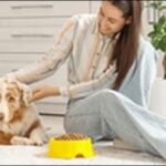 犬に待てのしつけをするコツ16選!英語コマンドも解説します