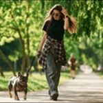 犬が散歩中引っ張る時のしつけ13選!正しいしつけが成功の秘訣