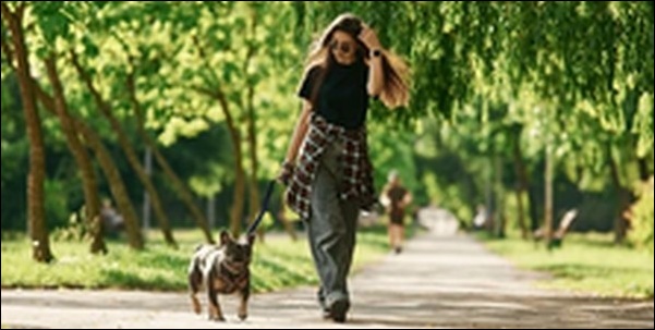 犬が散歩中引っ張る時のしつけ13選!正しいしつけが成功の秘訣