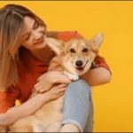 犬の名前3文字おススメを紹介！リズムや響きのバランスが取りやすい