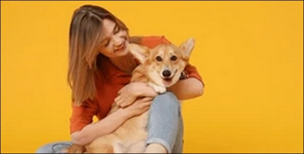 犬の名前3文字おススメを紹介!リズムや響きのバランスが取りやすい