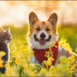 犬の名前4月生まれおススメを紹介！新たな門出を連想させる言葉が鍵