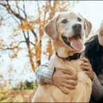 縁起がいい犬の名前おススメを紹介!ケアやしつけの励みになります