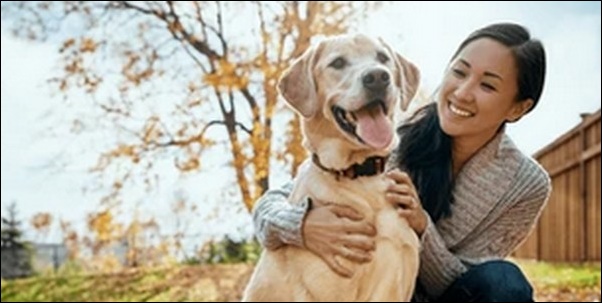 縁起がいい犬の名前おススメを紹介！ケアやしつけの励みになります