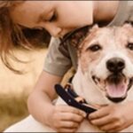 有名な犬の名前おススメを紹介!親しみやすさや印象の良さが高評価