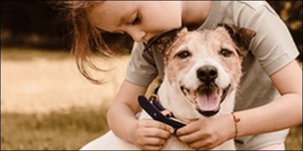 有名な犬の名前おススメを紹介!親しみやすさや印象の良さが高評価