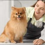 犬の名前外国風おススメを紹介！個性的でおしゃれな雰囲気が魅力