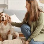 犬の名前カタカナおススメを紹介!軽やかな音感を活かせます。