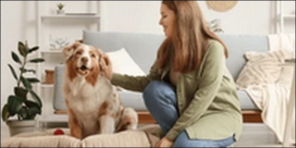 犬の名前カタカナおススメを紹介!軽やかな音感を活かせます。