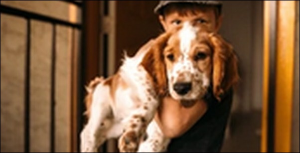 犬の名前イタリア語風おススメを紹介!響きが美しくエレガントな雰囲気
