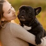 犬の名前日本風おススメを紹介！血と涙と汗の結晶ともいえる傑作揃い