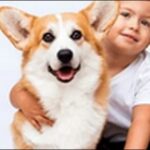 「み」で始まる犬の名前おススメを紹介！オリジナルな名付けのヒント