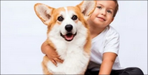 「み」で始まる犬の名前おススメを紹介!オリジナルな名付けのヒント