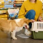 千葉県ペットショップおススメ11選！信頼できる店舗を知るべし