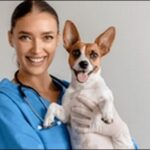 【口コミ】千葉県動物病院おススメ10選!ペットに合った医療が大切