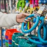 愛媛県ペットショップおススメ7選!信頼できるお店を知るべし。