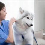 【口コミ】愛媛県動物病院おススメ10選！日常のケアもスムーズ