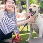 広島県ペットショップおススメ10選！信頼できる店舗を選ぶべし。