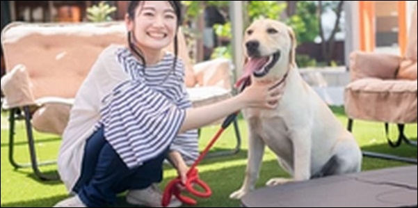 広島県ペットショップおススメ10選!信頼できる店舗を選ぶべし。