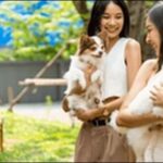 京都府ペットショップおススメ8選！信頼できる店舗を知っておこう。