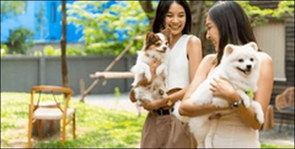 京都府ペットショップおススメ8選!信頼できる店舗を知っておこう。