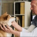 【口コミ】奈良県動物病院おススメ10選！ペットの健康管理に直結