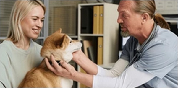 【口コミ】奈良県動物病院おススメ10選!ペットの健康管理に直結