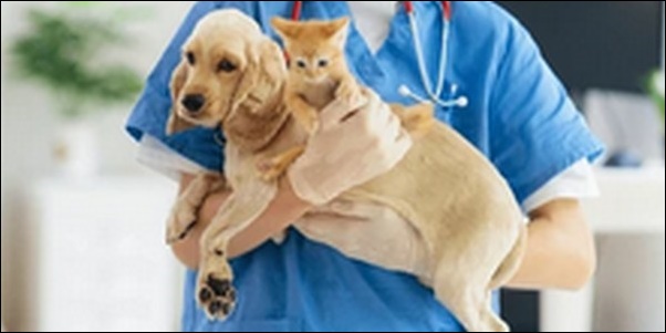 【口コミ】滋賀県動物病院おススメ10選！日常の健康管理を任せよう
