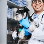 【口コミ】島根県動物病院おススメ10選！対応の丁寧さなどを比較