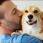 【口コミ】和歌山県動物病院おススメ10選！緊急時にも慌てず対応可