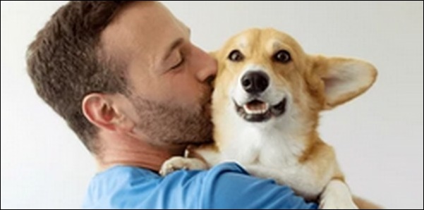 【口コミ】和歌山県動物病院おススメ10選!緊急時にも慌てず対応可