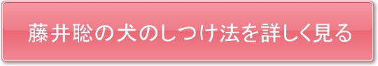 藤井聡の犬のしつけ法を詳しく見る