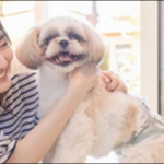 【狩野誠の愛の家庭犬しつけ法口コミ】愛犬との関係を見直す機会