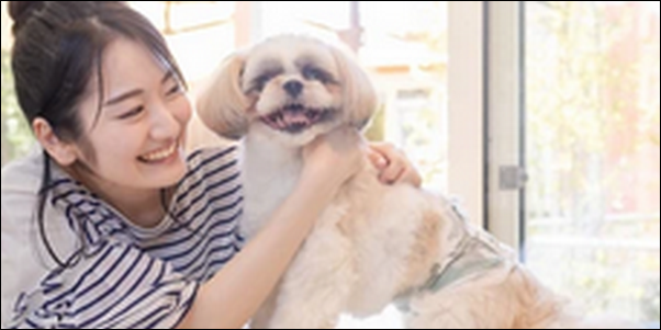 【狩野誠の愛の家庭犬しつけ法口コミ】愛犬との関係を見直す機会