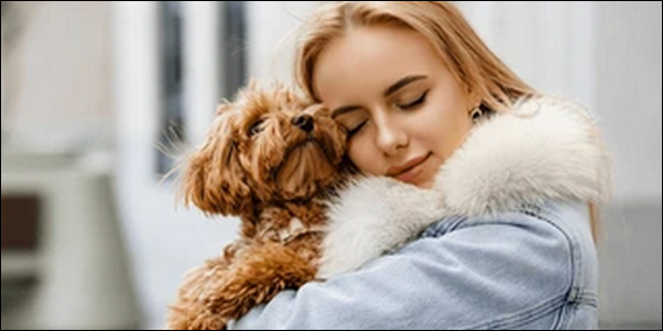 犬のしつけで挫折！怪奇な行動もプロのアドバイスで解決した快挙